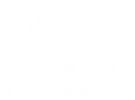 logo-v-2-transp-white.png